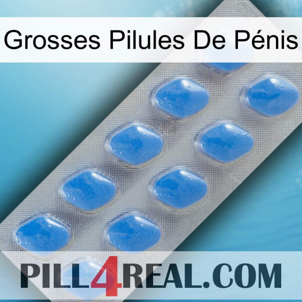 Grosses Pilules De Pénis 22